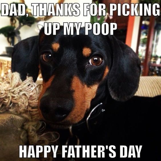 15 Fun Father'S Day Memes