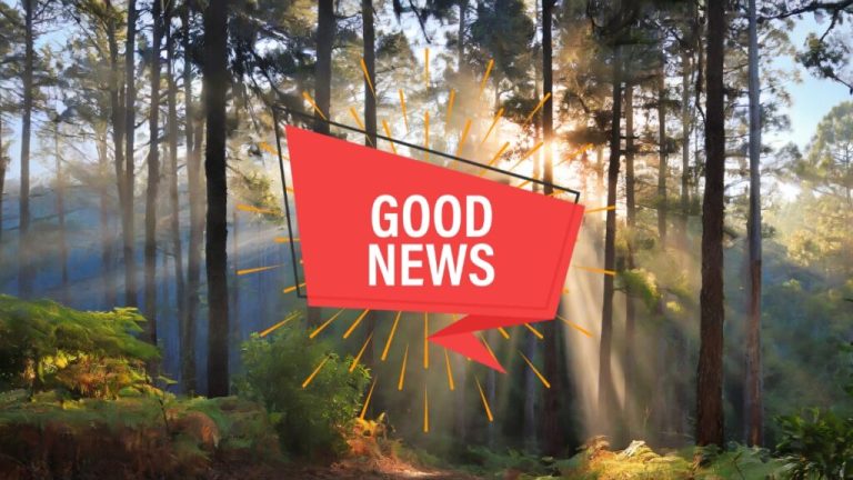 20 Ways “Thank You for A Good News”