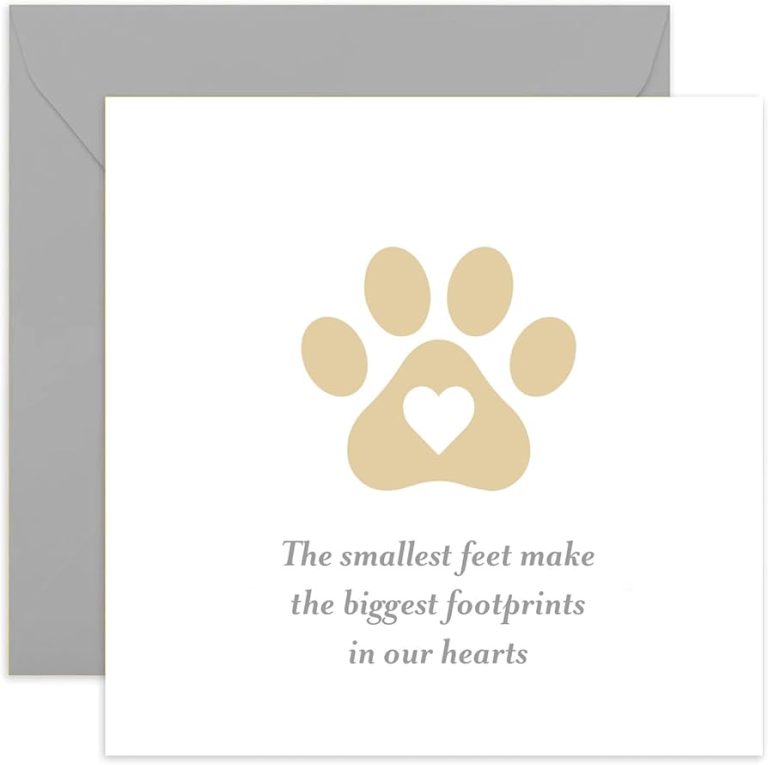 43 Pet Loss Quotes And Messages for Sympathy And Condolences