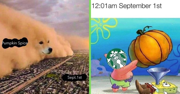 Enjoy Fall With These 12 Funny Pumpkin Spice Memes